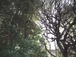 [CAWD-207]全力交尾女子新世代の白肌美少女が実は半年後に結婚を控えてい第09集